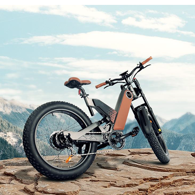 48V 750W real hub motor ebike Magnesium Alloy Frame 24 inch Fat tire Off Road Electric motorcycle 48V 750W real hub motor ebike Magnesium Alloy Frame 24 inch Fat tire Off Road Electric motorcycle
