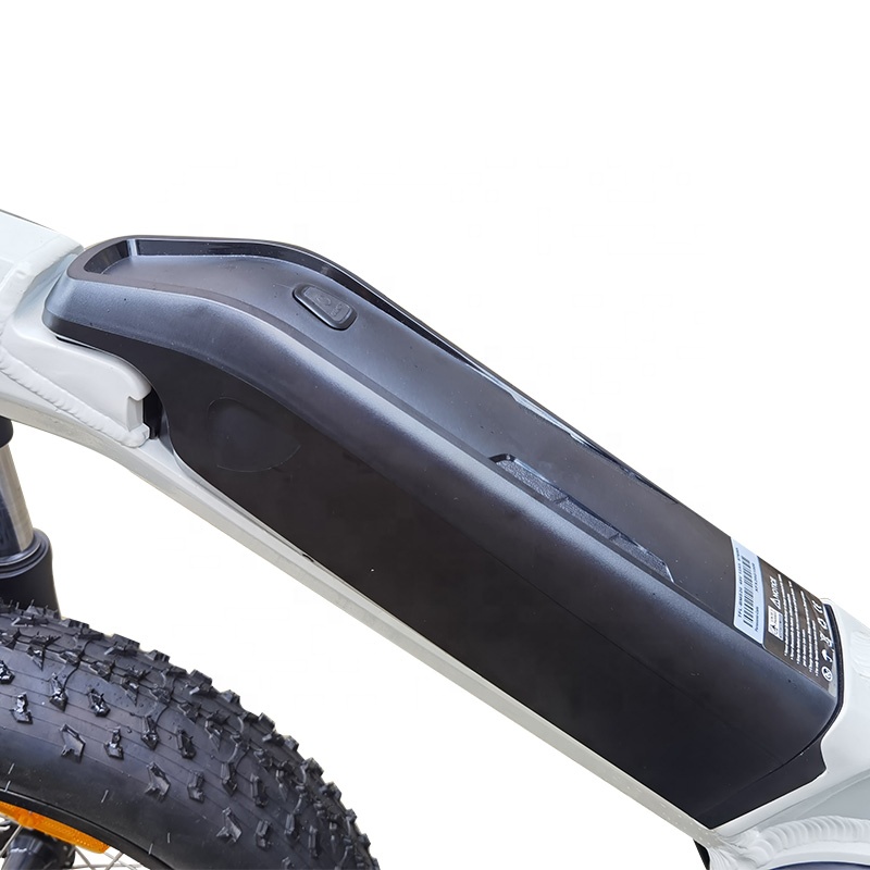 Electric Trike 48V 350W/500W Electric Tricycle 3wheel Cargo Bike mid drive Disc Brake 20 inch fat tire ebike