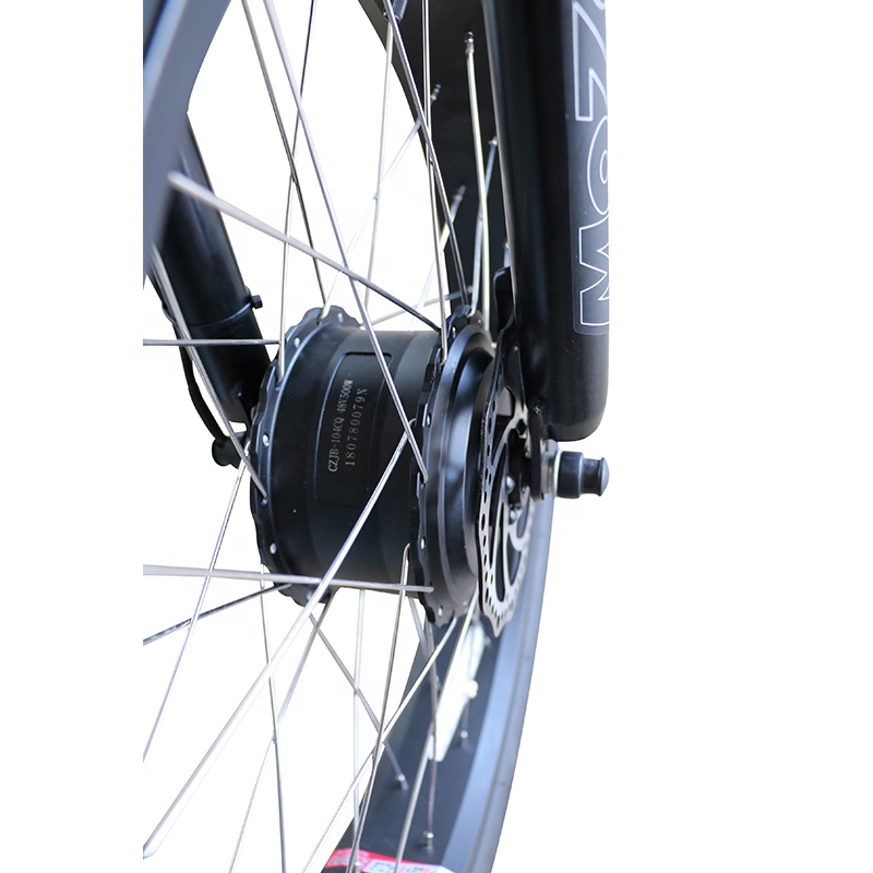 delivery electric tricycle with hub motor 500W cargo ebike for man fat tire three wheel electric bike for Elderly Shopping