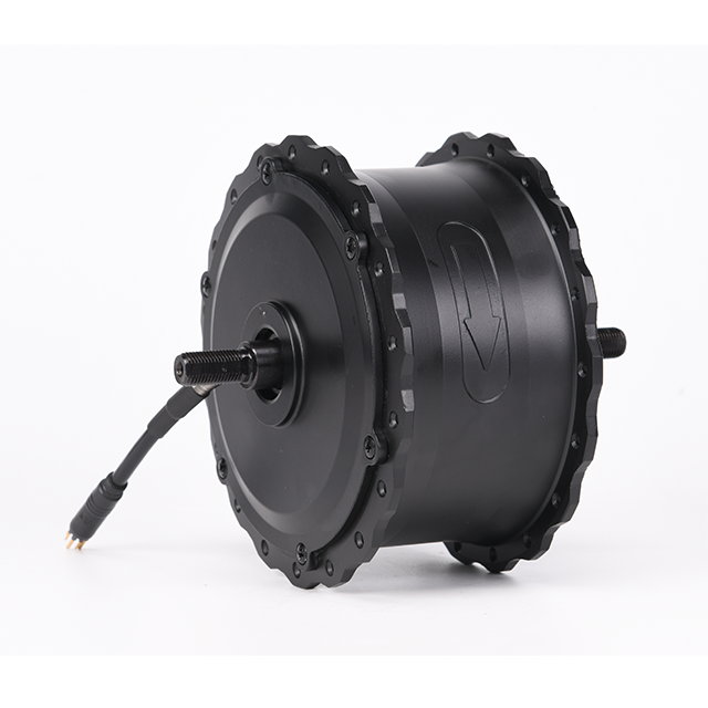 Electric e bike fat tire 36v 48V 350W 500w 750w powerful mountain ebike brushless geared hub motor