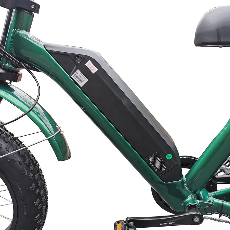 2022 dual motors Fat tire electric bike 20 INCHES 7 Speed electric biycle 48v 500w 1000w Disc Brake E Bike 