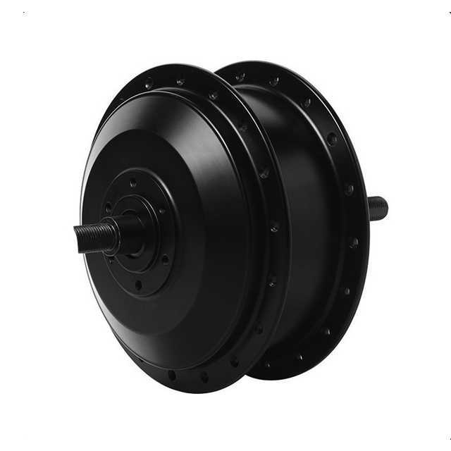 36V 48V 250W 500W electric bicycle Brushless inner gear drive rear hub motor for E-TOUR E-MTB E-CARGO kit
