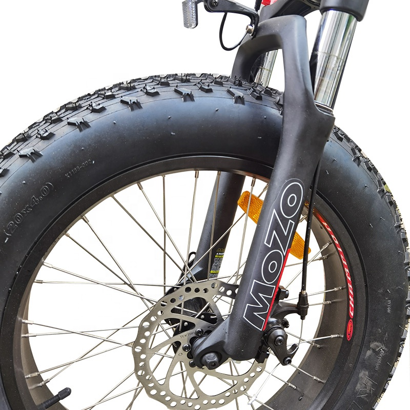 Electric Trike 48V 350W/500W Electric Tricycle 3wheel Cargo Bike mid drive Disc Brake 20 inch fat tire ebike