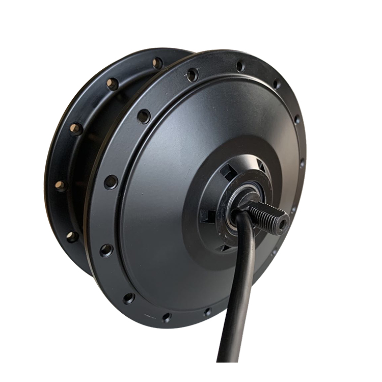 Ebike Brushless Inner Gear Hub Motor 36V250W