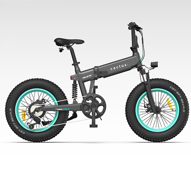 Electric folding bicycle 48V10Ah 250W rear hub motor Fat tire ebike