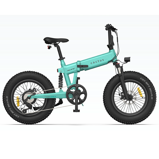 Electric folding bicycle 48V10Ah 250W rear hub motor Fat tire ebike