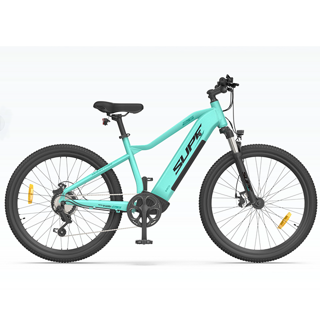48V10Ah 250W rear hub motor electric bicycle MTB E-bike