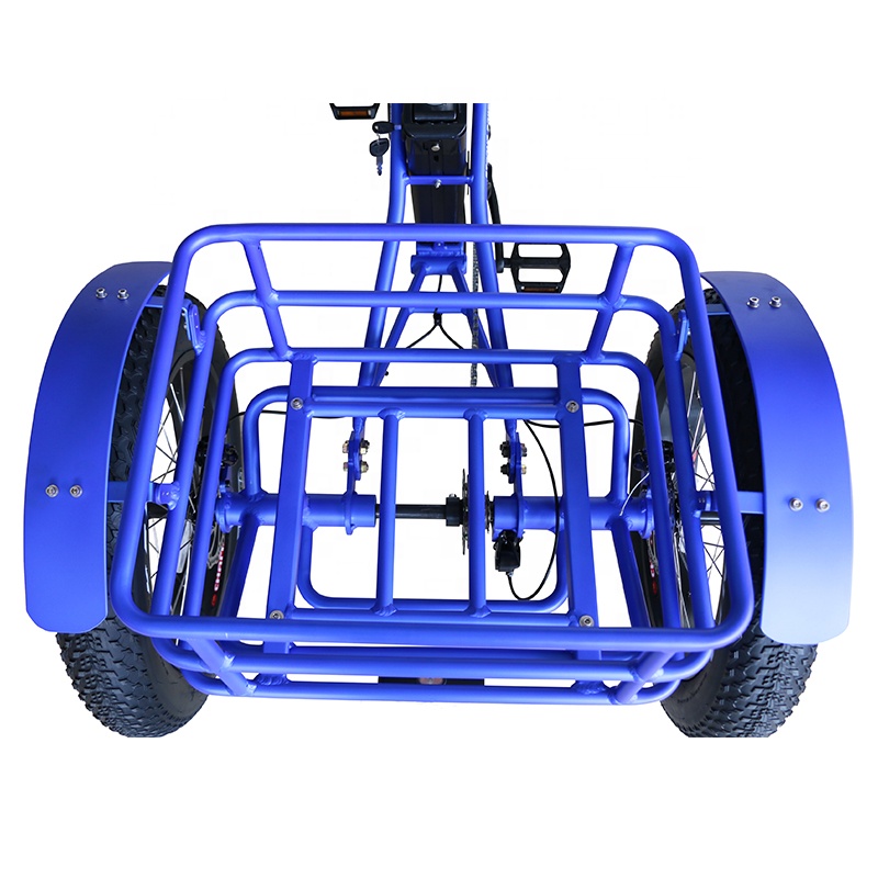 delivery electric tricycle with hub motor 500W cargo ebike for man fat tire three wheel electric bike for Elderly Shopping