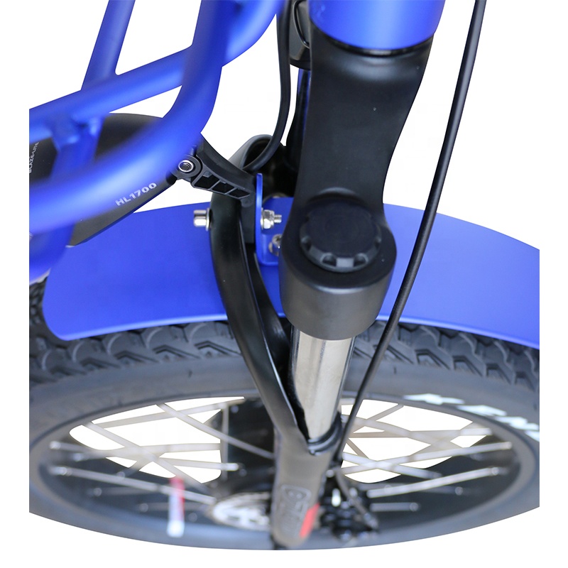 delivery electric tricycle with hub motor 500W cargo ebike for man fat tire three wheel electric bike for Elderly Shopping