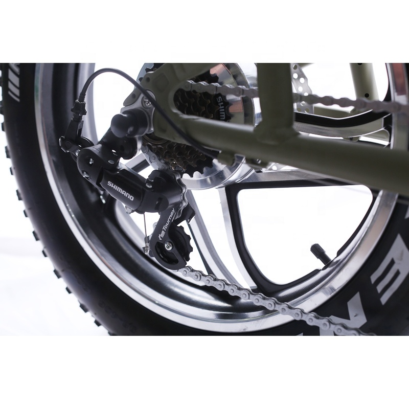 1000W mid dive Ebike fat tire off road electric bicycle 48V 26 inch e-bike with colorful LCD display electric mountain bicycle