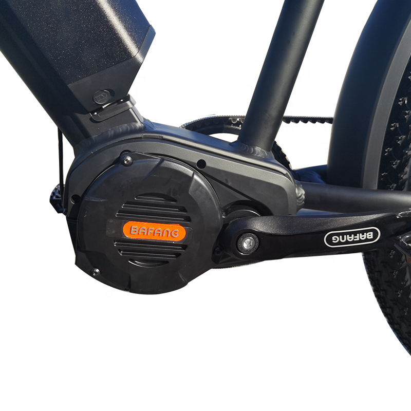 1000W mid dive Ebike fat tire off road electric bicycle 48V 26 inch e-bike with colorful LCD display electric mountain bicycle