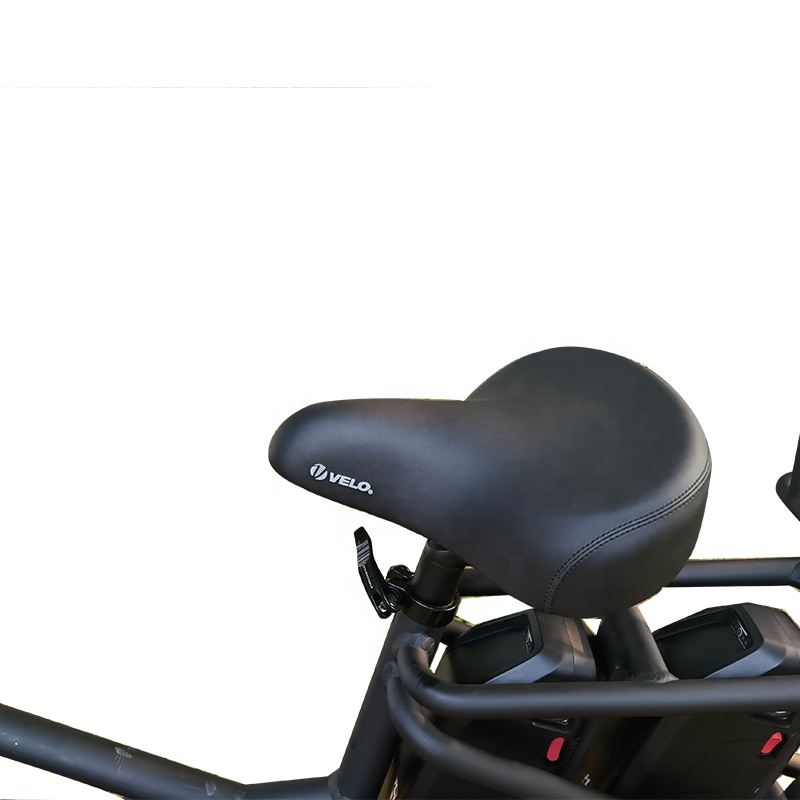 takeaway electric bike with 48v double Lithium battery removable electric bicycle long dostance two wheel fat tire ebike for food delivery 