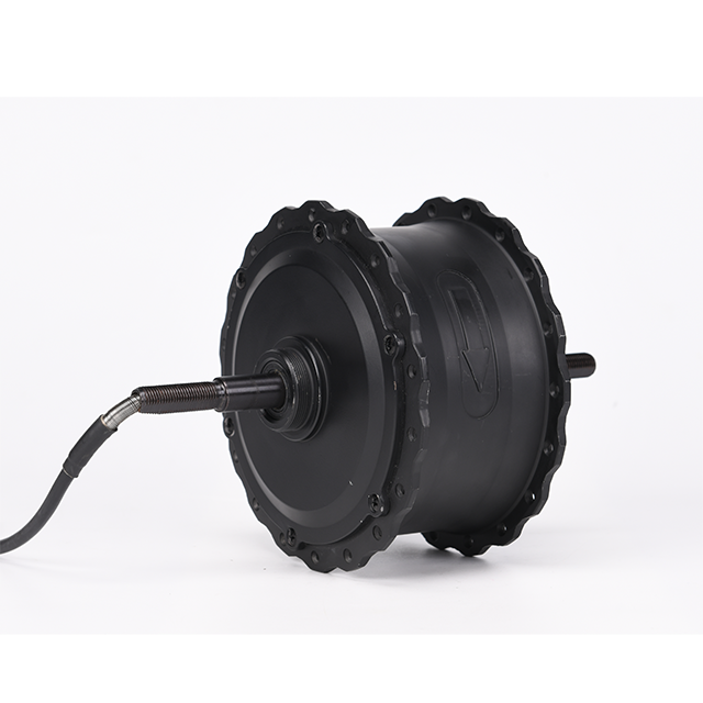 Electric e bike fat tire 36v 48V 350W 500w 750w powerful mountain ebike brushless geared hub motor