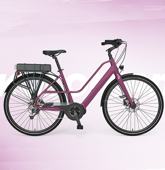  Design of double stainless steel handles 42PCS 21700 cells/52PCS 21700 cells Rear Rack Type 36V 48V Battery Case