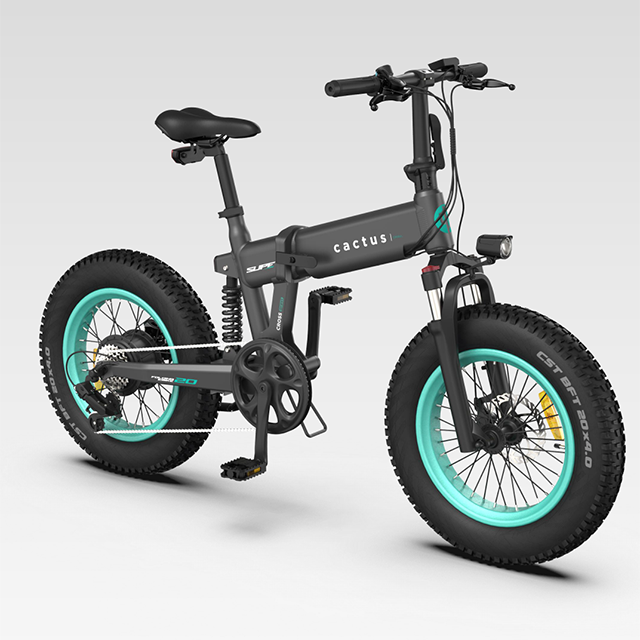 Electric folding bicycle 48V10Ah 250W rear hub motor Fat tire ebike