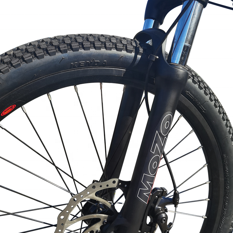 1000W mid dive Ebike fat tire off road electric bicycle 48V 26 inch e-bike with colorful LCD display electric mountain bicycle