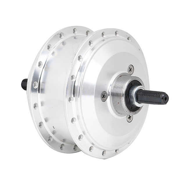 China cheap leader manufacturer 250W 350W 24V 36V 48V rear brushless electric bike hub motor