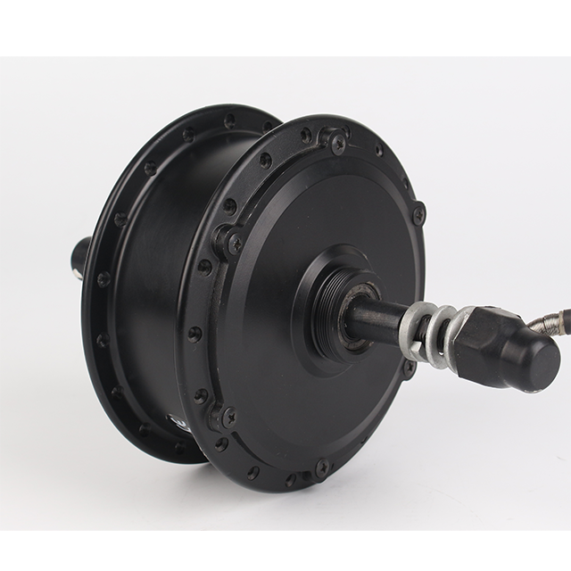 best selling 24v 36v 48V 250W 350w wholesale brushless electric bike wheel hub motor