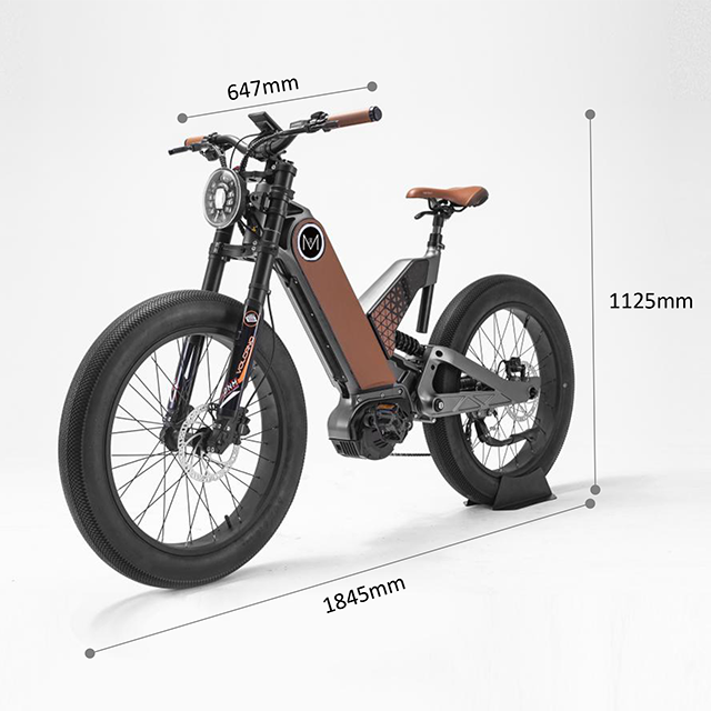2023 New Design Magnesium Alloy 48v 750w Mid drive motor 24*14 inch Fat tire Off Road ebike central motor Electric motorcycle