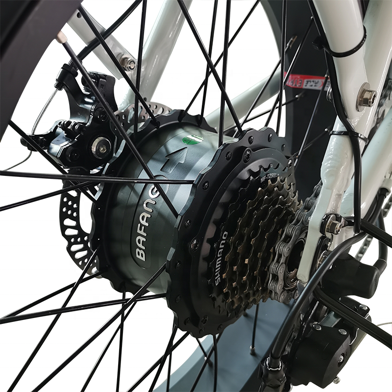 Ebike 500w Rear Hub Motor low step 20" Fat Tyre electric bicycle Folding city e-bike for women