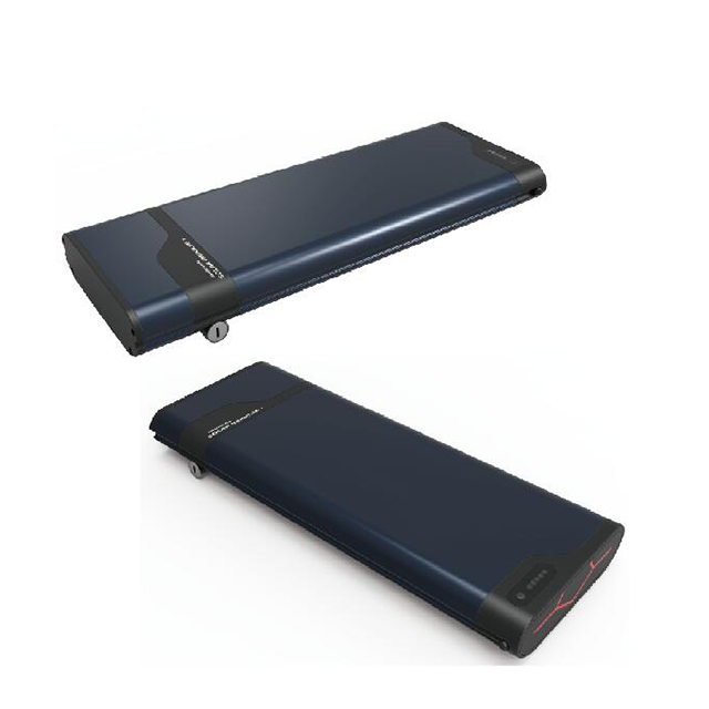 36V 48V Li-ion battery with carrier type case for electric bike