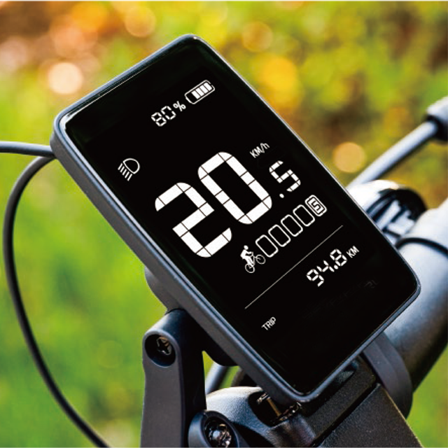 High cost-effective display segment-code LCD screen Bluetooth function for Ebike