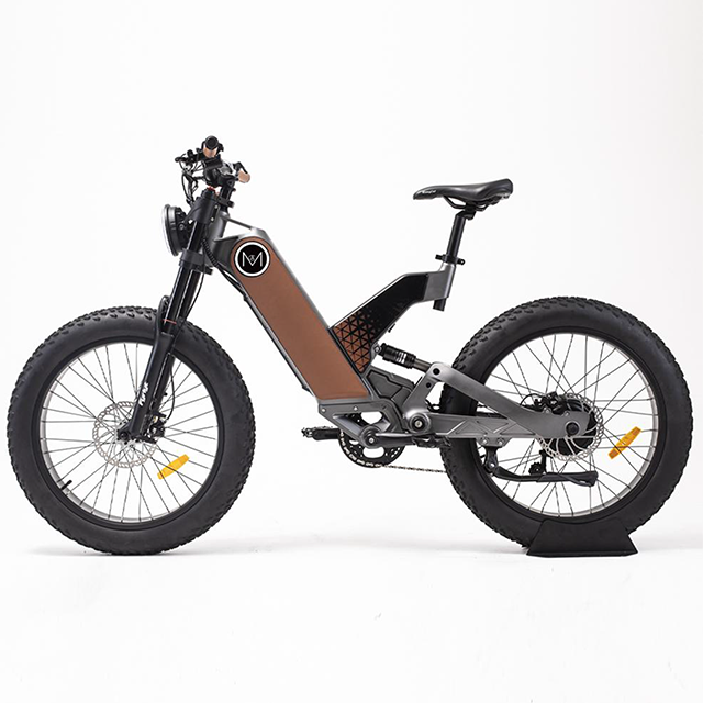 48V 750W real hub motor ebike Magnesium Alloy Frame 24 inch Fat tire Off Road Electric motorcycle