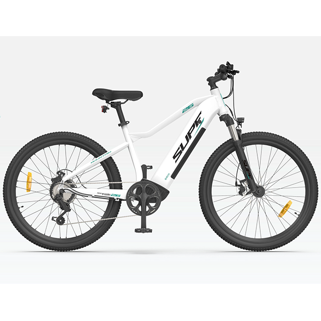 48V10Ah 250W rear hub motor electric bicycle MTB E-bike