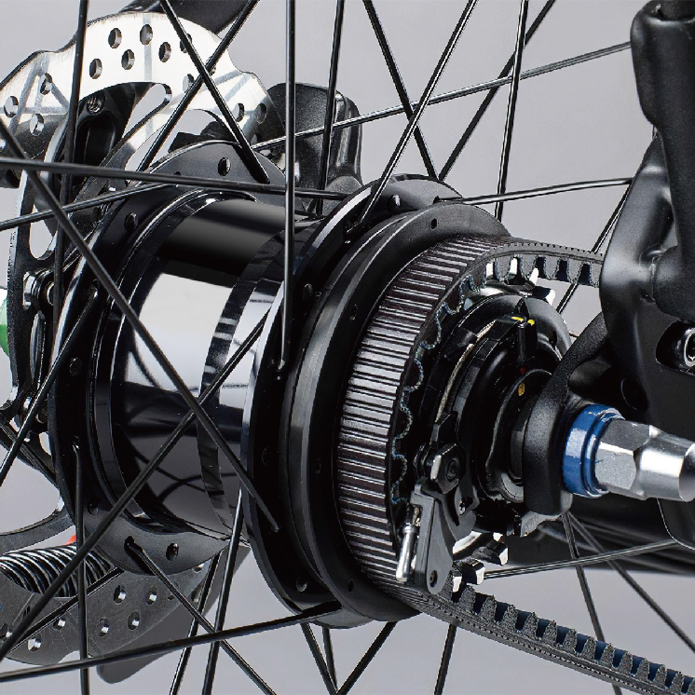 Disc Brake 2S Auto-IGH Internal speed change of electric bike