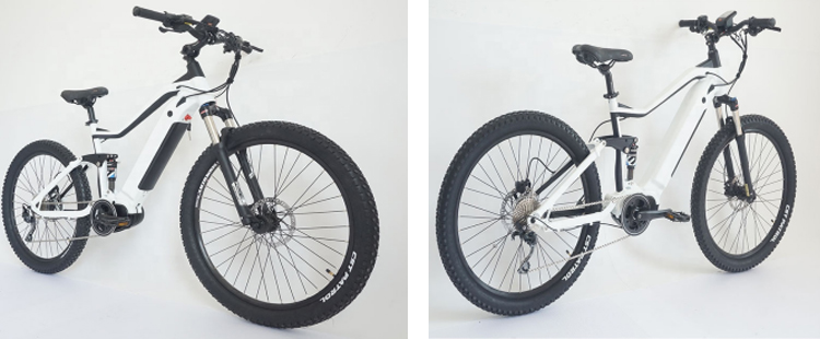 Ebikes-spec